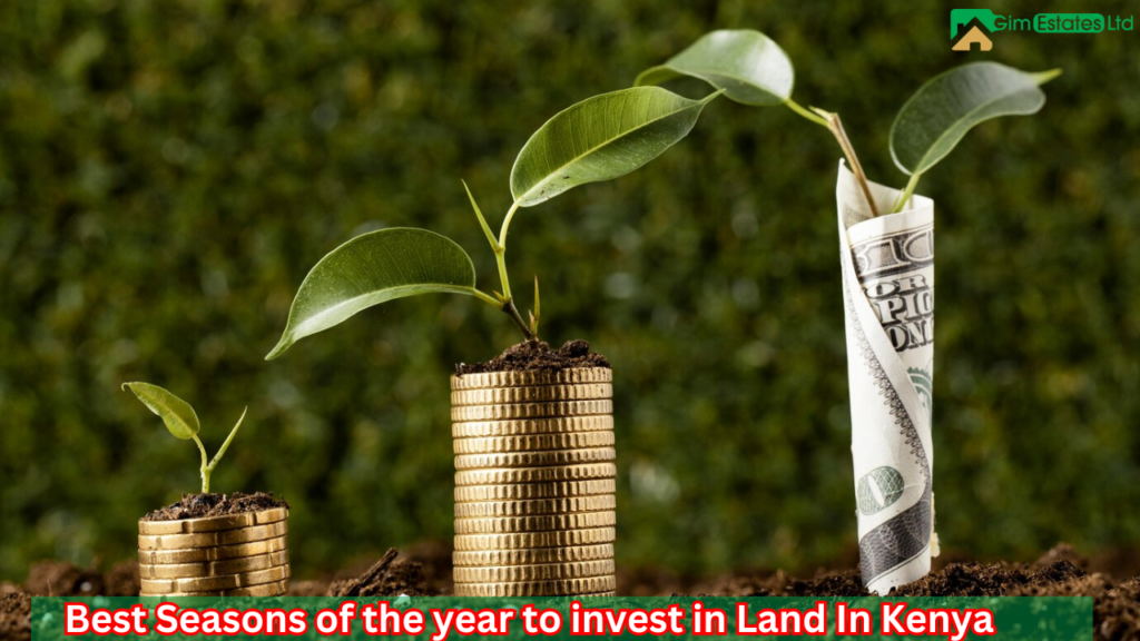 Best Seasons to Invest in Land In Kenya Best Seasons to Invest in Land In Kenya