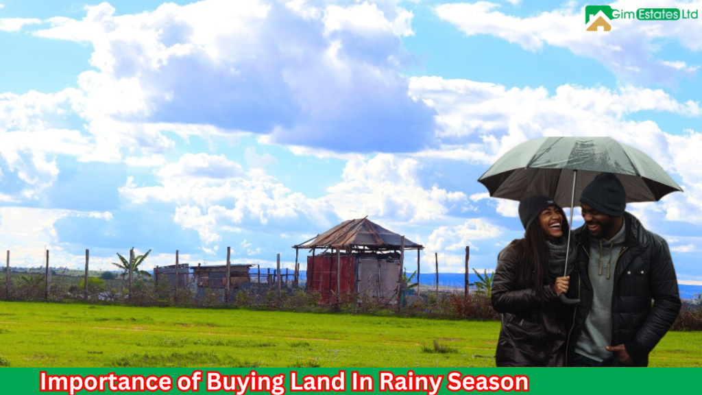 What Are the Benefits of Buying Land During Rainy Seasons. What Are the Benefits of Buying Land During Rainy Seasons.